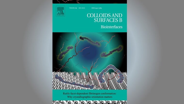 CSB Cover für Maja Struczynska‘s Paper